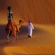 Illustration for article titled Google Strapped a Camera To a Camel To Put The Desert on Street View